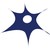 Grupo Aspasia logo