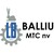 BALLIU MACHINE TOOL CORPORATION logo
