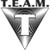 TEAM Security logo