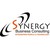 Synergy Business Consulting, Inc. logo