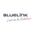 BlueLink International CZ logo