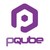 PQube logo