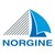 Norgine logo