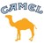 CAMEL logo