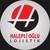 Haleplioglu Lojistik logo