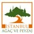 İSTANBUL AĞAÇ VE PEYZAJ AŞ logo