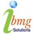 IBMG Solutions logo