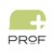 PRoF-PROJECTS logo