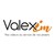 Valexim logo
