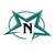 Logo di Light N Light