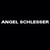 Angel Schlesser SL logo
