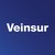 Veinsur logo