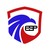 ESP Security Solutions logo