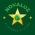 NOVALUZ logo