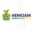 Logo di Fundação Hemoam