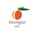 Georgia Department of Economic Development logo