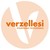 VERZELLESI S.R.L. logo