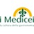 I MEDICEI SPA logo