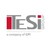 Tesi Group logo