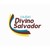 Colégio Divino Salvador logo