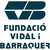 Fundació Vidal i Barraquer logo