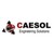 Caesol Limited logo