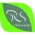 Logo di RS Florestal
