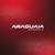 Araguaia Agrícola CASE IH logo