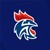 FFHandball - Fédération française de handball logo