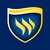 Texas Wesleyan University logo