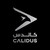 Calidus, LLC logo