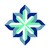 Logo di WPS—A health solutions company