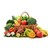 Nutrição logo