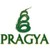 Pragya logo