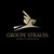 GROUPE STRAUSS logo