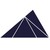 Scalene Partners logo