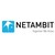 Logo di NetAmbit Infosource & e-Services Pvt. Ltd.