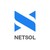 Logo di NETSOL Technologies Inc.