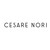CESARE NORI logo