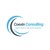 COEXIN CONSULTING logo