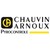 Pyrocontrole - Chauvin Arnoux Group logo