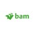 BAM UK & Ireland logo