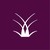 Delubac Asset Management logo