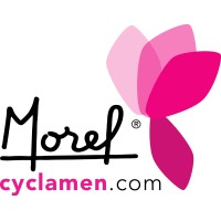MOREL DIFFUSION - CYCLAMEN MOREL logo