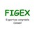 FIGEX logo