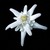 Plastiques des Neiges logo