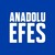 Anadolu Efes logo