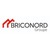 Groupe BRICONORD logo