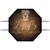LYON ALLIANCES BRILLANTS logo