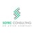 SOTEC CONSULTING logo